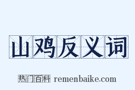 山鸡反义词是什么意思的图片